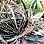 St. Lucia Wetlands Guest House