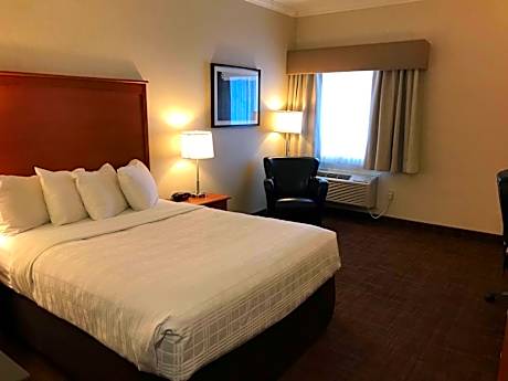 1 Queen Bed, Non-Smoking, High Speed Internet Access, Business Plus Room, Microwave And Refrigerator