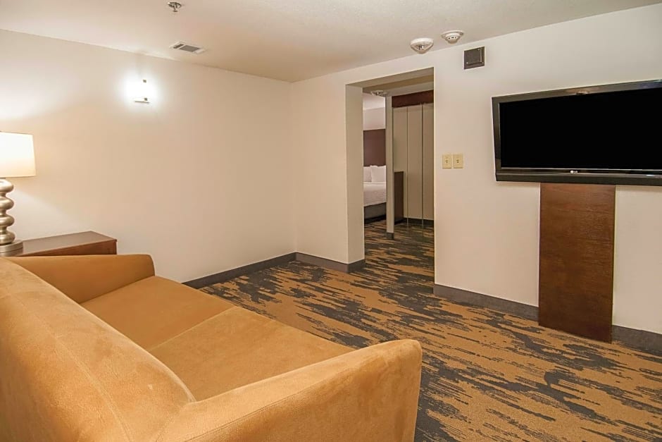 Fairfield Inn & Suites by Marriott Dallas DFW Airport South/Irving