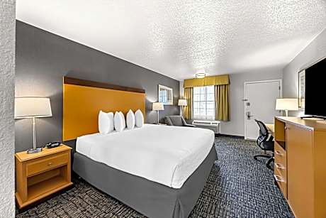 King Room - Pet Friendly/Non-Smoking