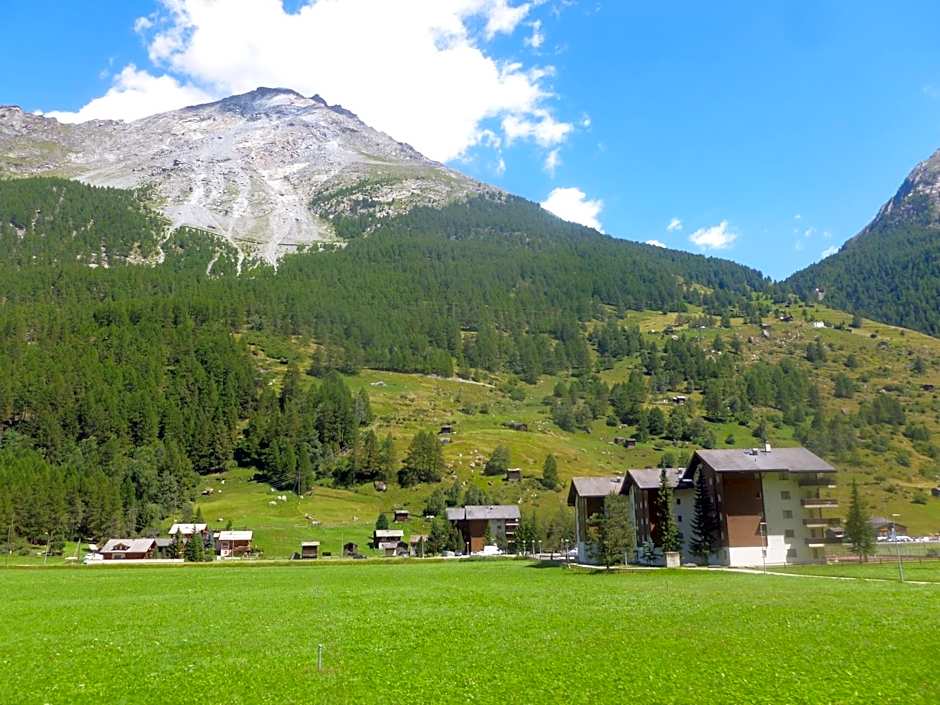 Monte Rosa D 412
