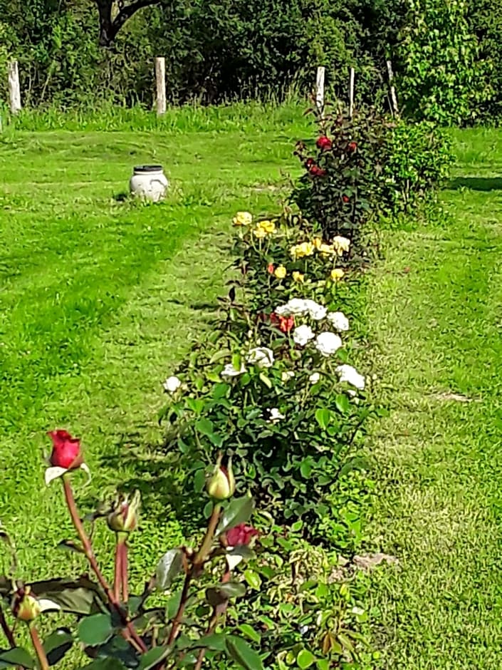 la roulotte de l'ami nature