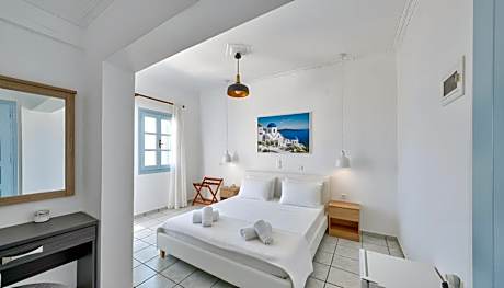 Double or Twin Room with Mountain View