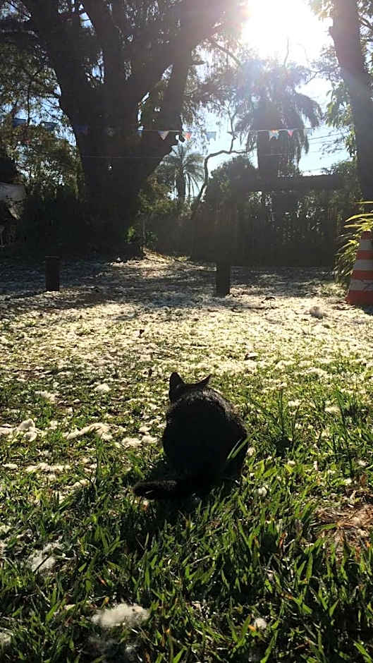 Reduto das Artes Hostel pousada