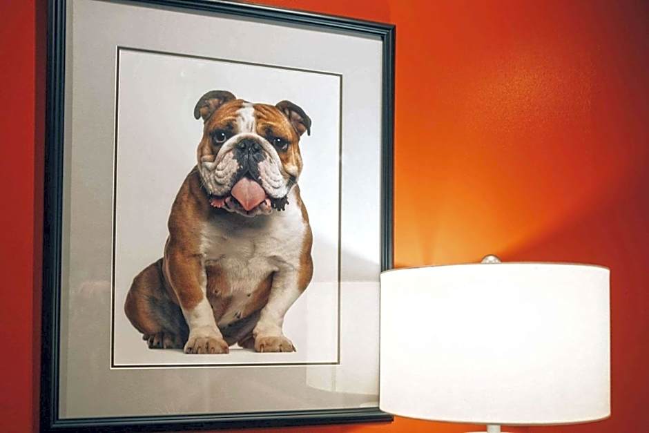 La Quinta Inn & Suites by Wyndham Starkville