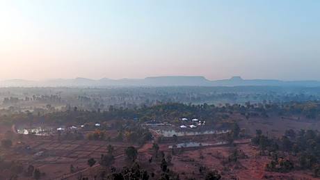 Tree of Life Ramvilas Bandhavgarh, Madhya Pradesh