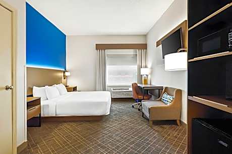 1 King Bed, Nonsmoking, Accessible