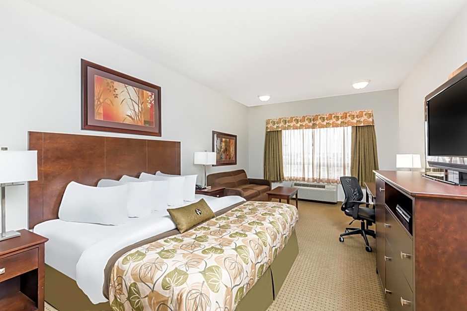 1 King Bed, Accessible — 4 fotoğraftan 1. fotoğraf