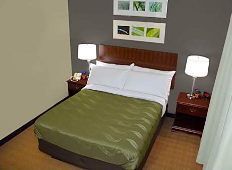 1 Queen Bed, Suite, Nonsmoking, Accessible