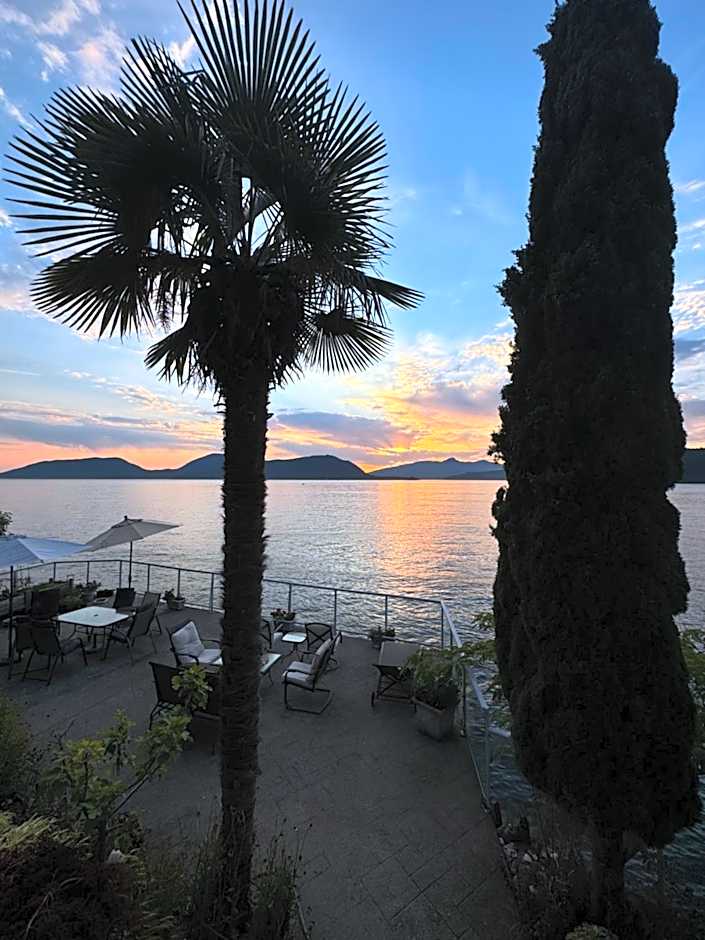 Dream House -Water Lily