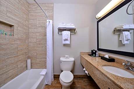 Accessible - 1 King, Mobility Accessible, Bathtub, Non-Smoking, Continental Breakfast