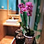 Hotel Rural Molino del Puente Ronda