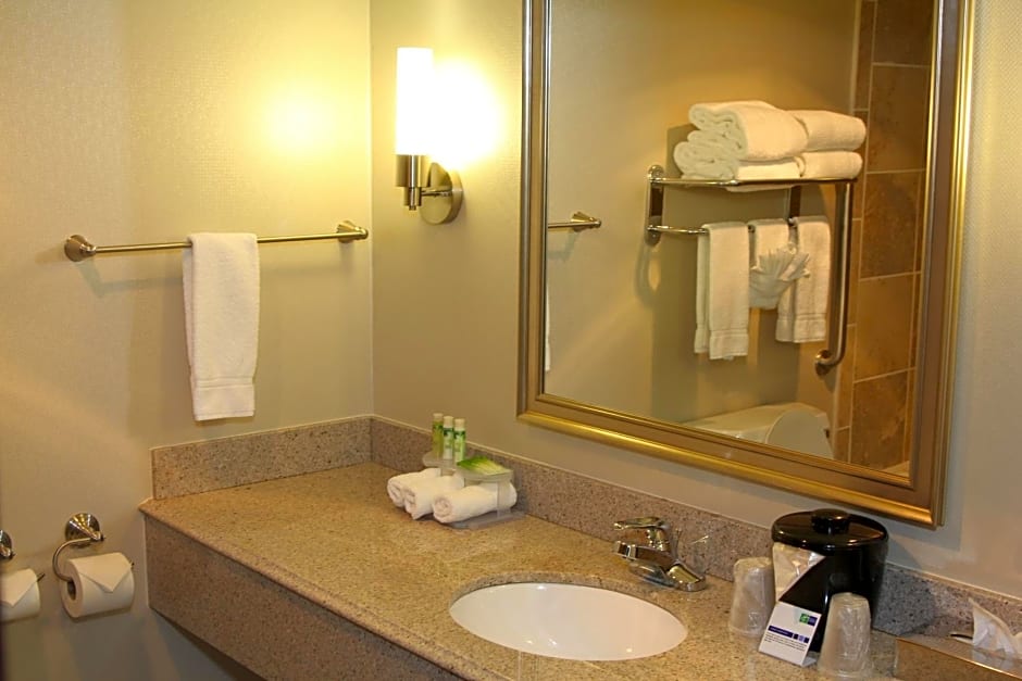 Holiday Inn Express Hotel & Suites Indianapolis W - Airport Area by IHG