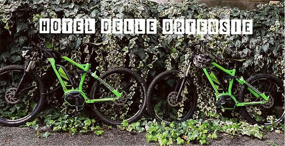 Hotel Delle Ortensie