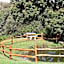 Quinta da Devesa -B2