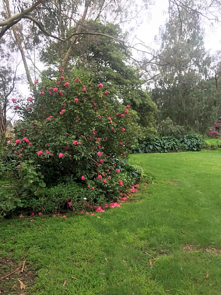 Sherwood Park bed and breakfast