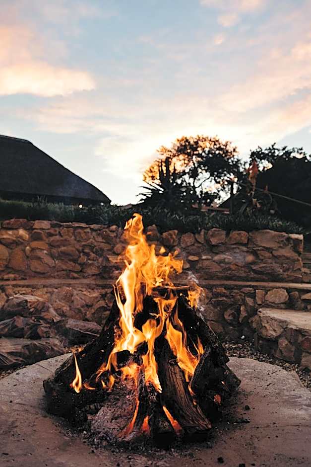 Bukela Game Lodge - Amakhala Game Reserve