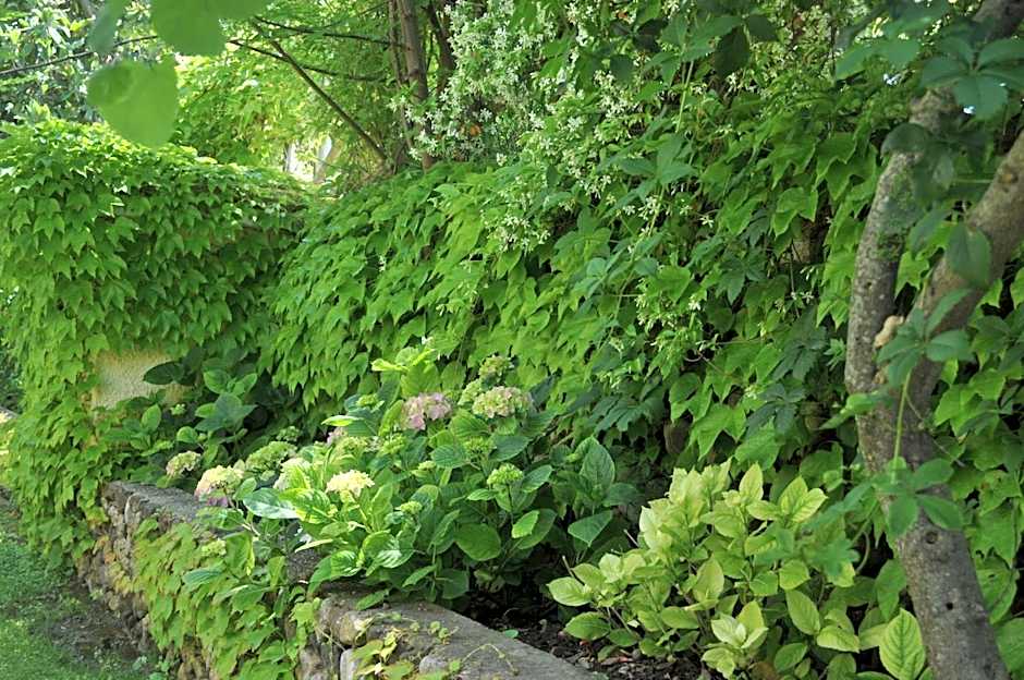 Hotel Tirrena Bike & Country Hotel