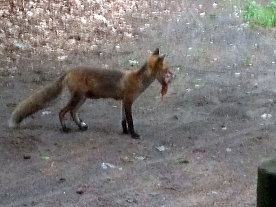 Domki Letniskowe Nakielno