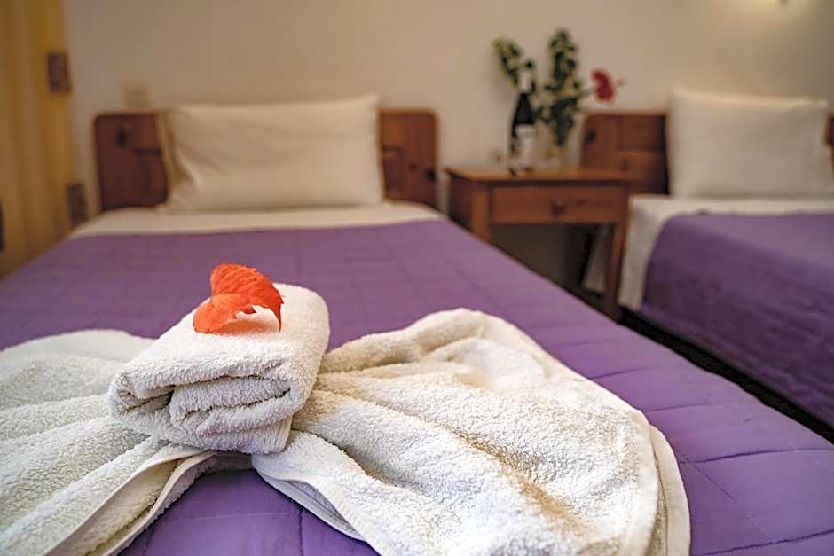 Dimitris Villa Hotel