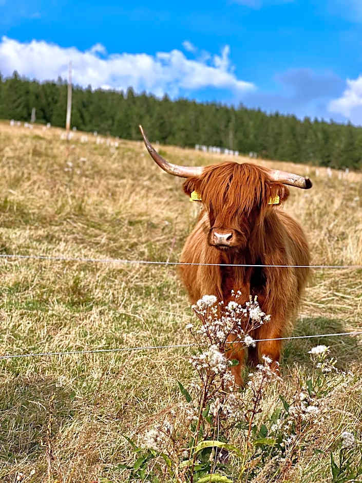 Bouda Klínovka