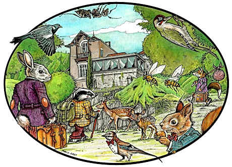 Mixed Dormitory Room