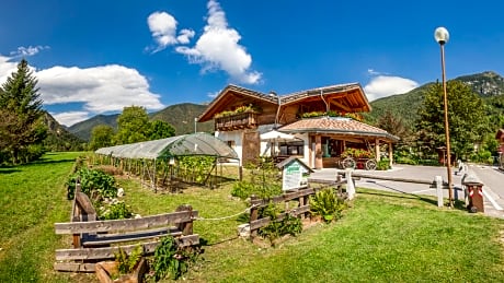 B&B dalla fattoria della Patty