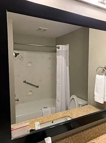 1 King Bed Suite Comm Access Roll Shower