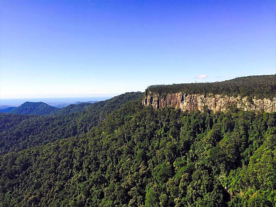 The Mouses House Rainforest Retreat