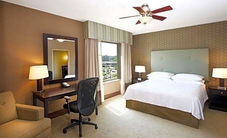 King Room - Non-Smoking