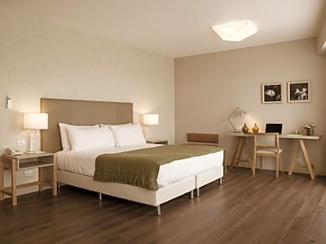 Accessible 1 Queen Bed Non-Smoking Room