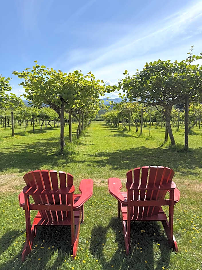 Kiwi Cove Lodge