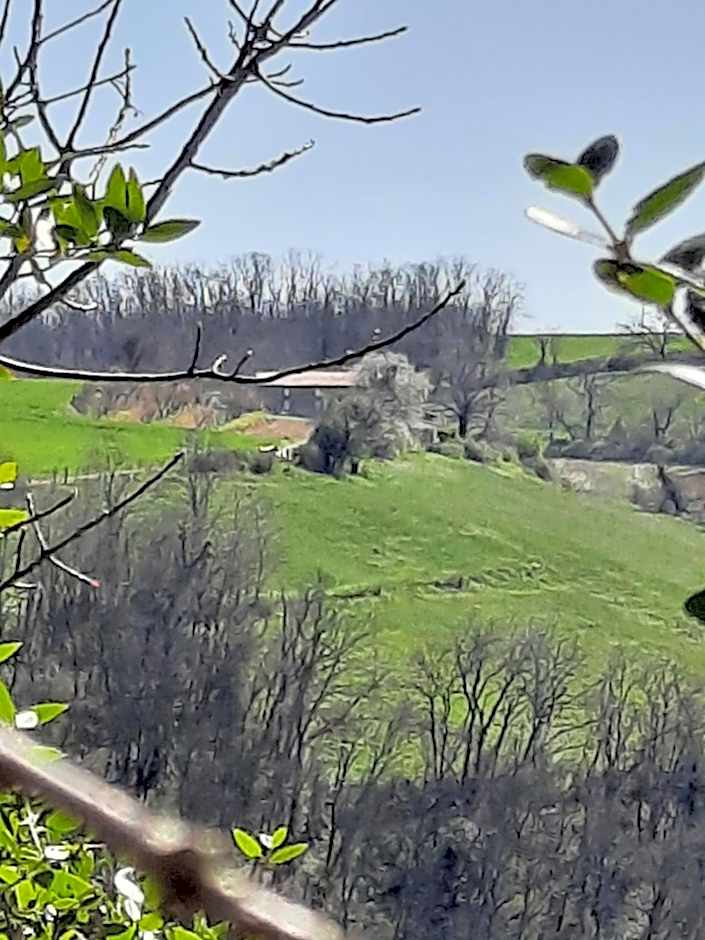 L'Echappée Trémoussante