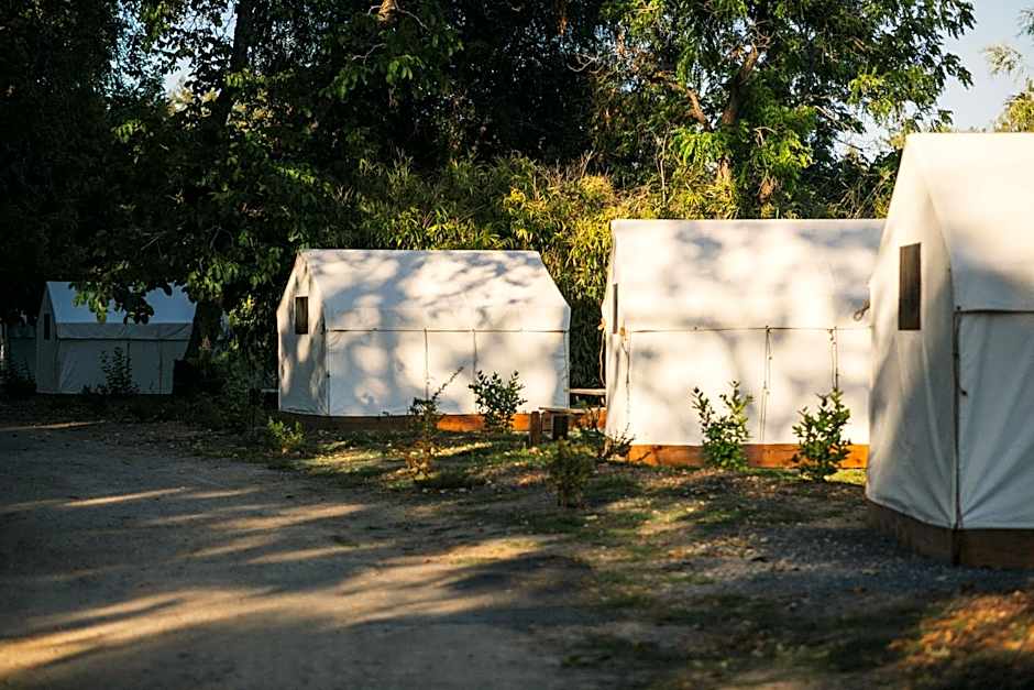 Johnson's Beach Cabins and Campground