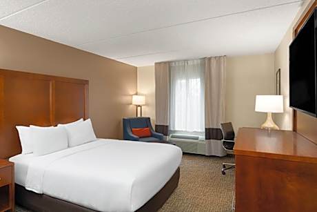 1 Queen Bed, Mobility Accessible Room, Roll-In Shower, Non-Smoking