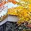 Boxi Hakata 2