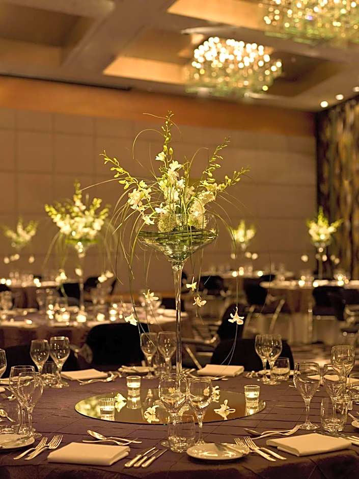 Hyatt Regency Mainz