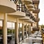 Olivia Palm Hotel