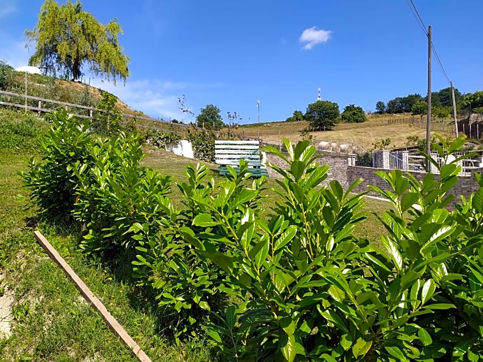 La Tana dello Scoiattolo - Adults Only