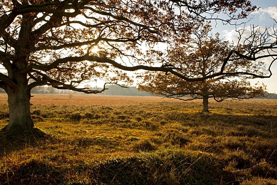Gasterij De Koekoekshof