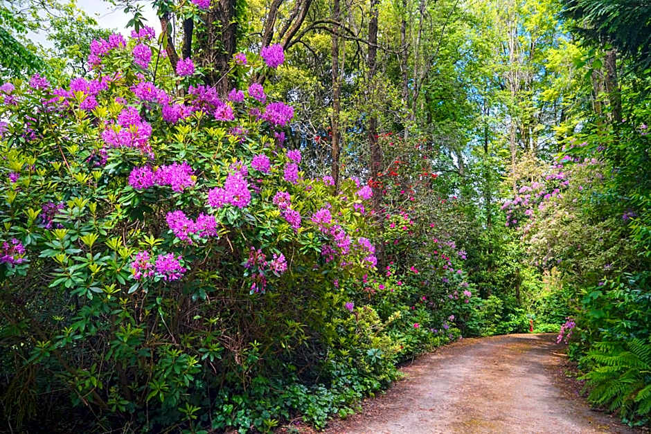 Arnica Views Summit Retreat