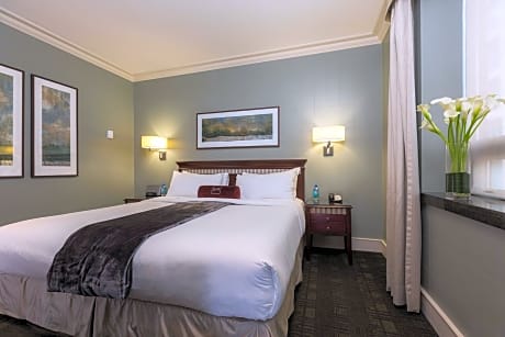 Junior Suite (1 Double Sofa Bed)