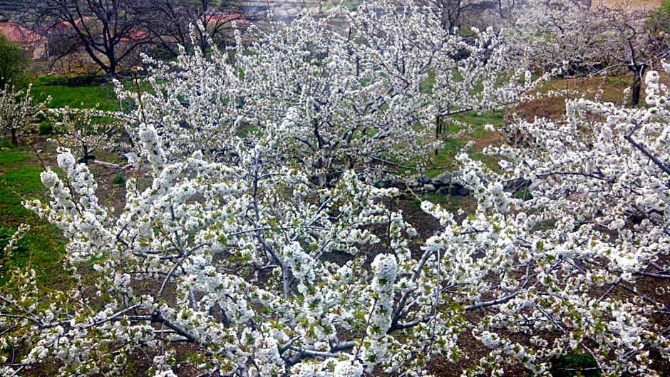 Antigua Posada, Valle del Jerte