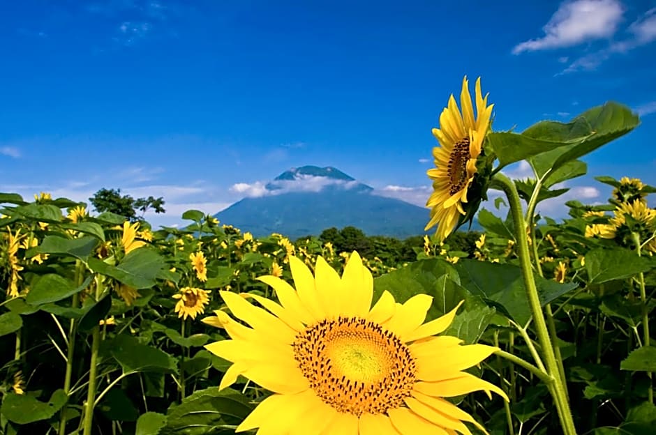 Midtown Niseko