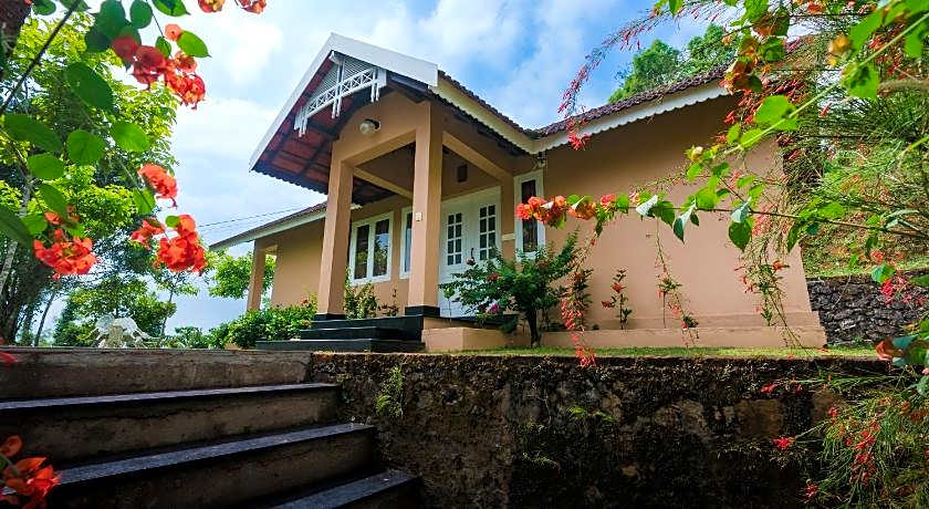 After the Rains - Rainforest Lodge