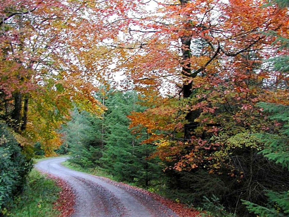 Clancys Of Glenfarne