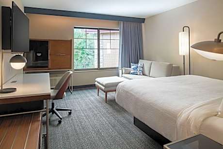 Standard King Room with Sofa Bed