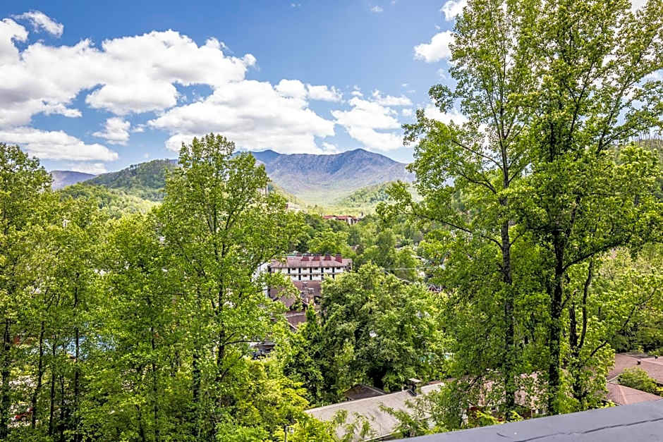 Fabulous Chalet Inn