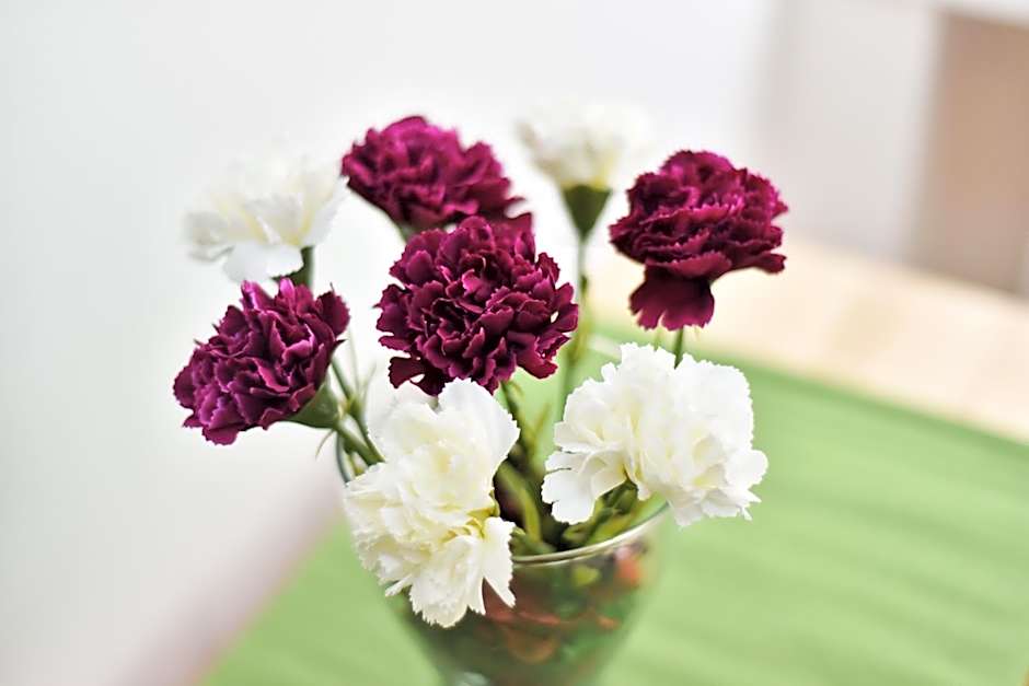 Laisves Avenue Hostel "Easy Kaunas"