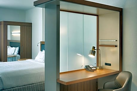 Larger Studio, 1 King, Sofa bed